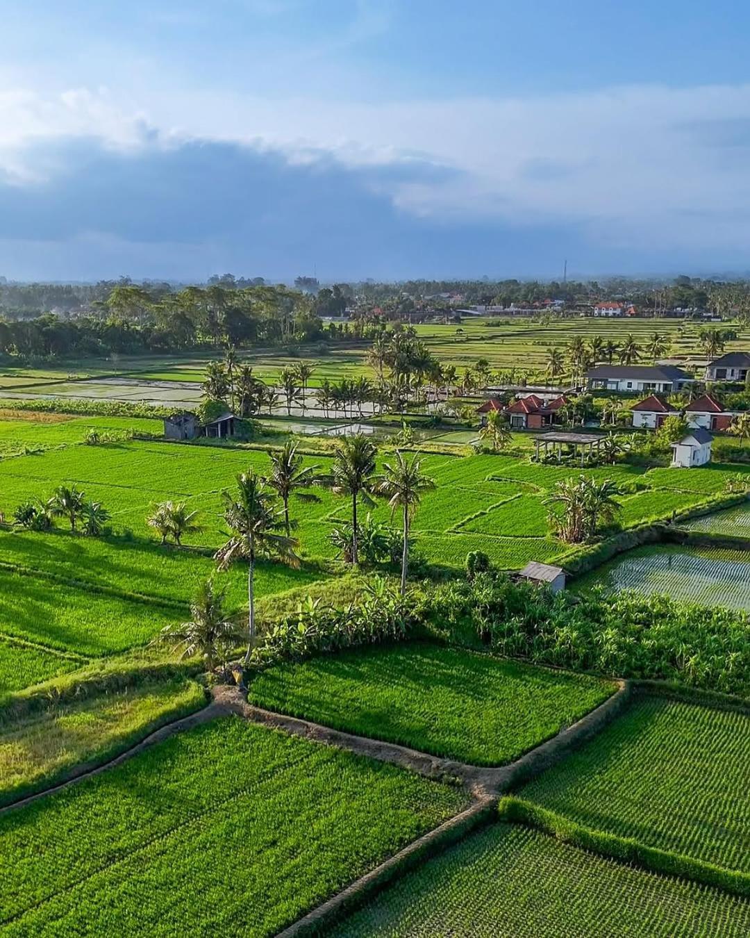 Ikada Villa By Pramana Villas Убуд Екстериор снимка
