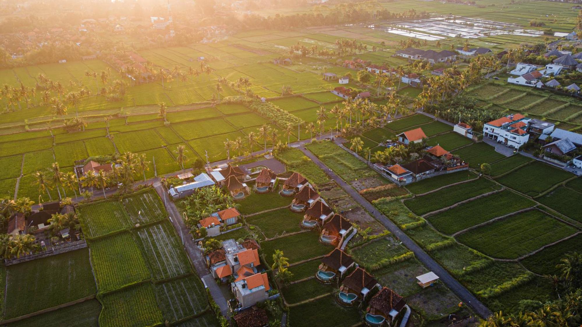 Ikada Villa By Pramana Villas Убуд Екстериор снимка